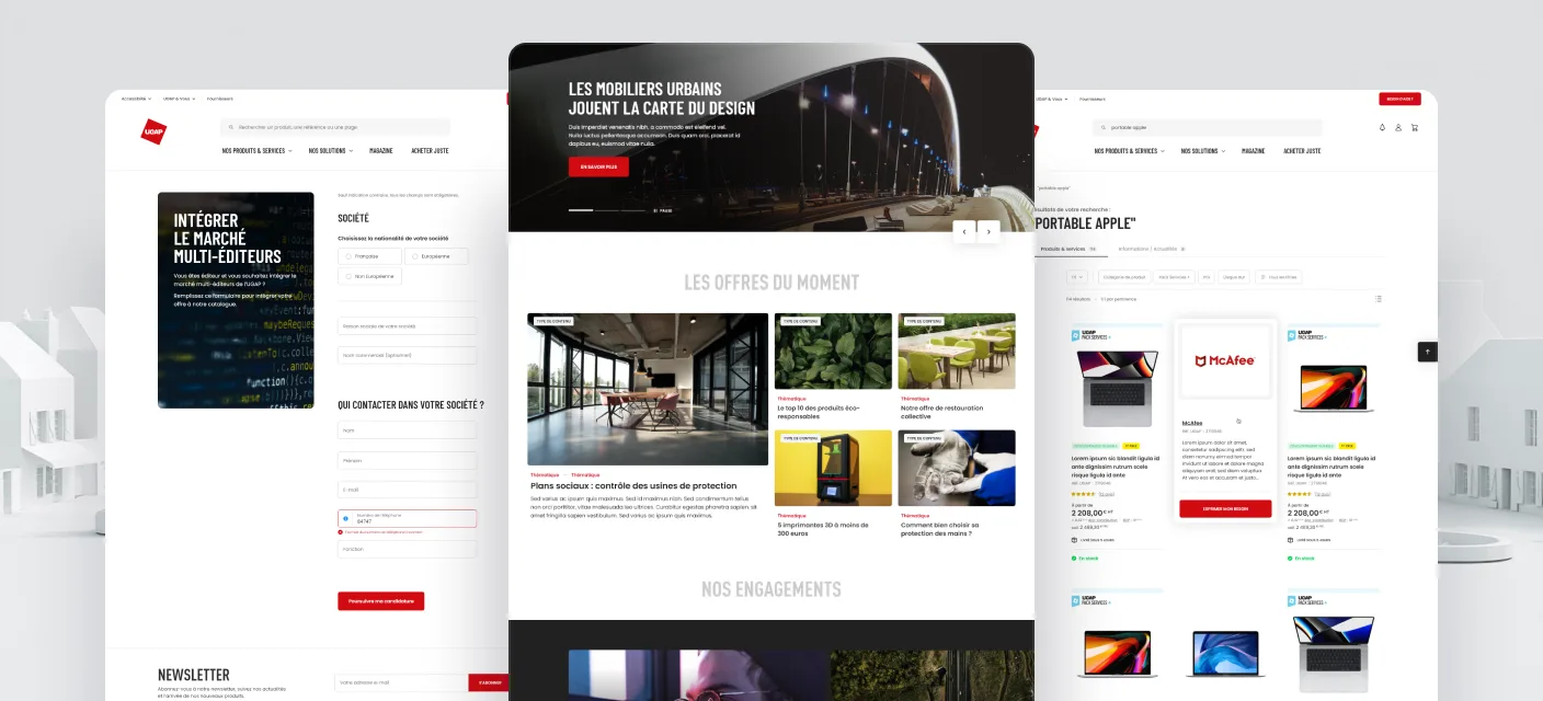 UGAP e-commerce screens: catalogue, request management and the bespoke quote workflow